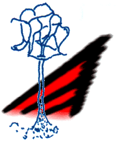 Logo: Clastoderma +DELTA