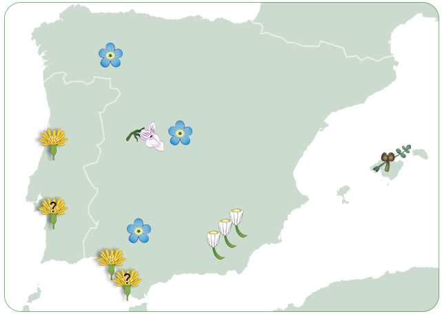 mapa plantas