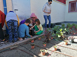 Imagen del proyecto Jardines Escolares Sostenibles