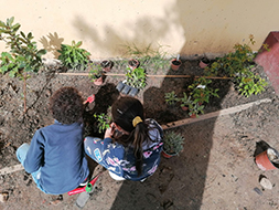 Imagen del proyecto Jardines Escolares Sostenibles