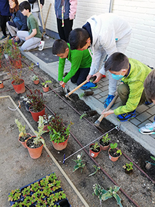 Imagen del proyecto Jardines Escolares Sostenibles